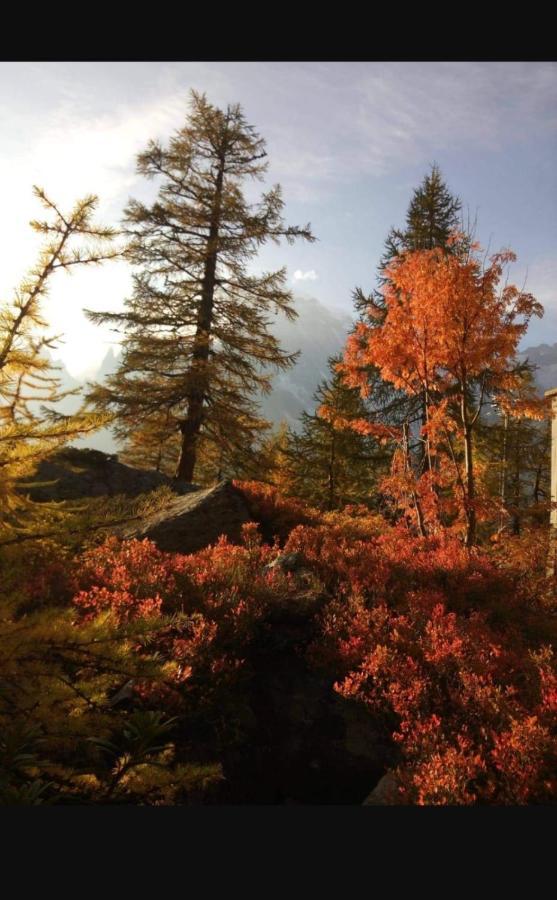 Astoria 3* Courmayeur